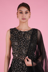 Corset with Cutwork LehengaDSC08437