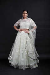 Mint Embroidered Lehenga