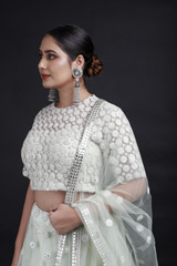 Mint Embroidered Lehenga_MG_9225