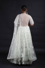 Mint Embroidered Lehenga_MG_9227