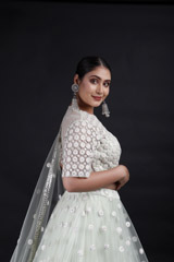 Mint Embroidered Lehenga_MG_9231