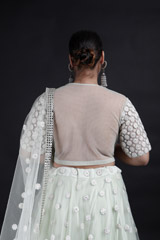 Mint Embroidered Lehenga_MG_9232