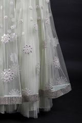 Mint Embroidered Lehenga_MG_9235