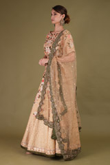 Beige Embroidered LehengaDSC08533