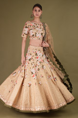 Beige Embroidered LehengaDSC08537