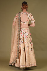 Beige Embroidered LehengaDSC08538