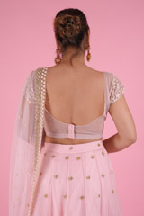 Pink Embellished LehengaDSC08744