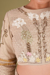 Beige Lehenga SetDSC00853