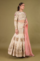 Beige Lehenga SetDSC00855