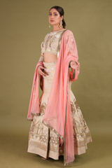 Beige Lehenga SetDSC00858