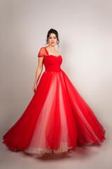 Miriam Tulle Gown