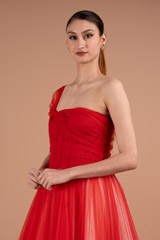 Miriam Tulle GownDSC01707