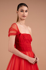 Miriam Tulle GownDSC01715