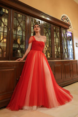 Miriam Tulle GownDSC06211