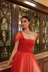 Miriam Tulle GownDSC06222