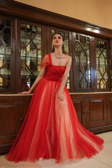 Miriam Tulle GownDSC06228