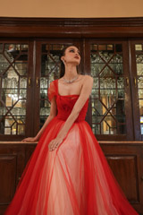 Miriam Tulle GownDSC06235