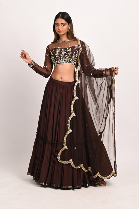Brown Hand Embroidered Lehenga