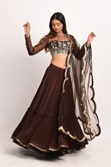 Brown Hand Embroidered LehengaDSC_3318