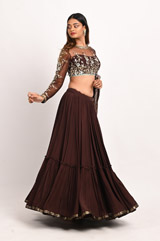 Brown Hand Embroidered LehengaDSC_3320