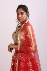 Red Gold LehengaIMG_7802