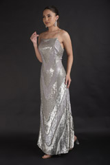 Grey Metallic Gown_DTR2643