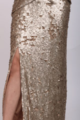 Gold Garnier GownIMG_0360