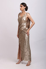 Gold Garnier GownIMG_0365