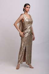 Gold Garnier GownIMG_0367