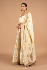 Gold Brocade GownDSC01824