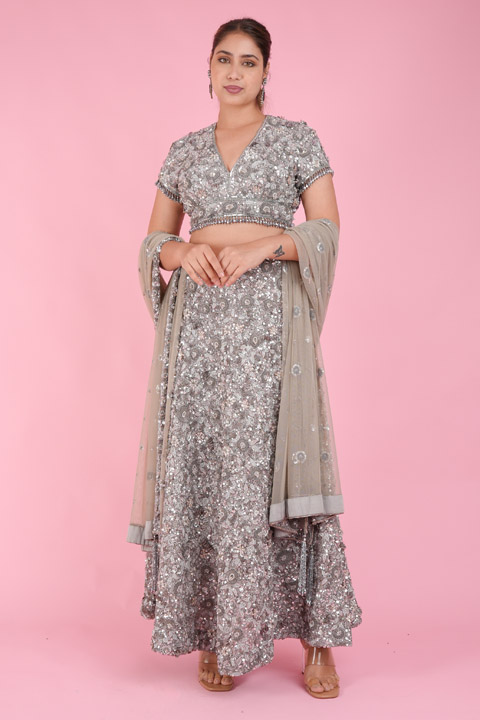 Silver Embellished Lehenga