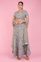 Silver Embellished Lehenga