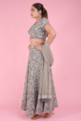 Silver Embellished LehengaDSC07492