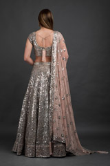 Blush Pink Mirror Work Lehenga_DSC7841-Edit