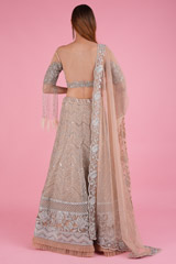 Reyna  Lehenga SetDSC08275