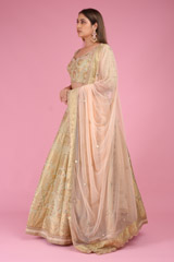 Banarasi Lehenge SetDSC03067