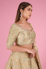 Banarasi Lehenge SetDSC03069