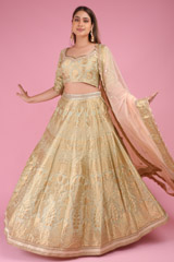 Banarasi Lehenge Set