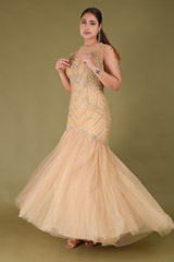 Golden Mermaid Cut Net GownDSC07543