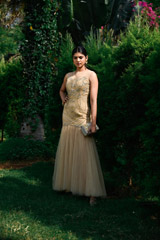 Golden Mermaid Cut Net Gown_DSC8829