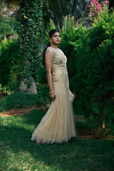 Golden Mermaid Cut Net Gown_DSC8848