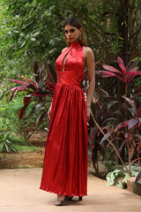 Red Metallic GownIMG_2130