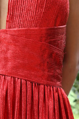 Red Metallic GownIMG_2148