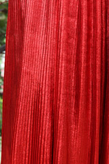 Red Metallic GownIMG_2151