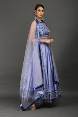 Violet Sequin Embellished LehengaIMG_0188