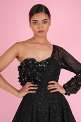 Black  Ball GownDSC07266