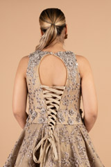 Beige  Embroidered GownDSC03933