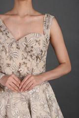 Beige Embroidered GownIMG_1246