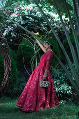 Red Ball GownIMG_7007