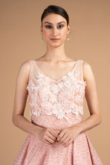 Pink Ball GownDSC08193